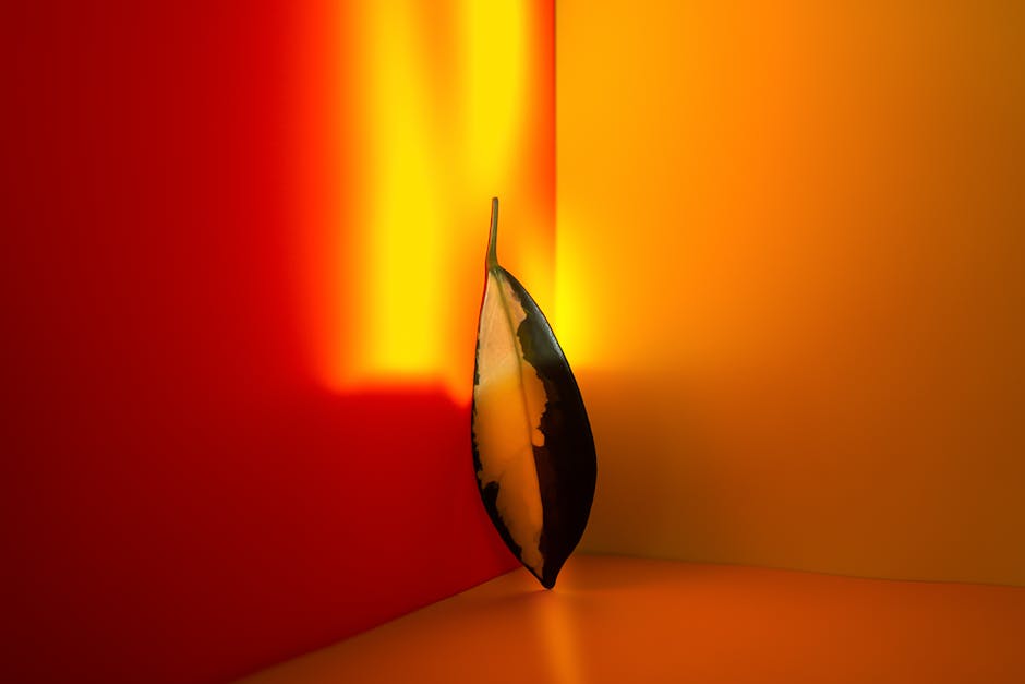 Leaf illuminated by warm orange lighting in a corner