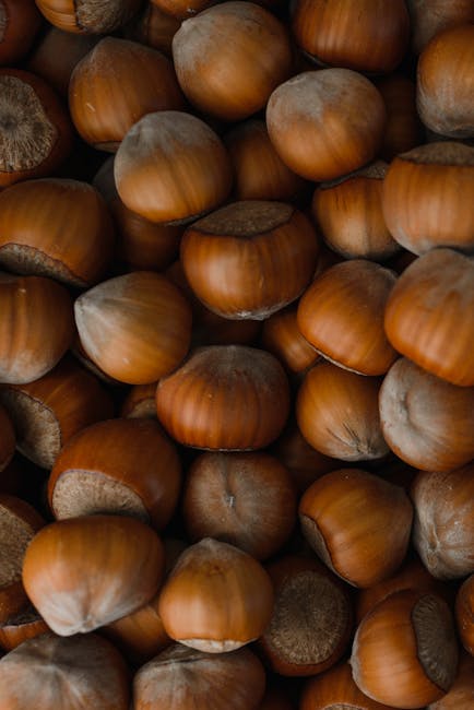Collection of fresh hazelnuts